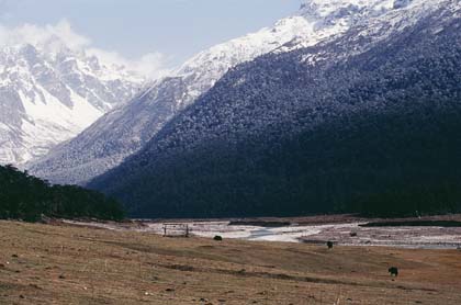 India_Sikkim_Yamtung_mountains01.jpg